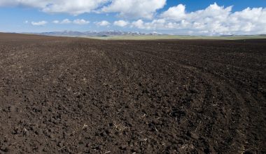 how does climate affect soil