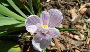 can you spray weed killer on rubber mulch