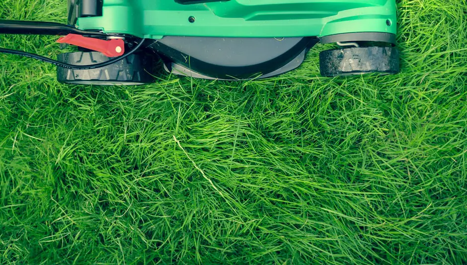 how to tune up a lawn mower