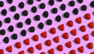 when should i prune my blackberry bush