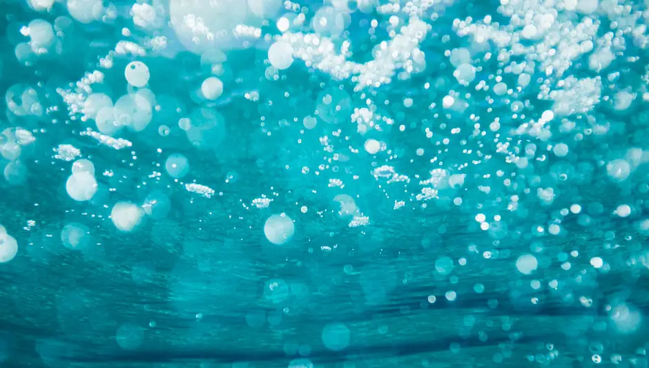 How Aquatic Plants Breathe? What People Don't Tell You