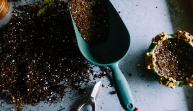 how to layer a compost bin