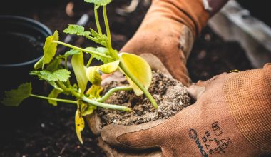 how to start a garden maintenance business