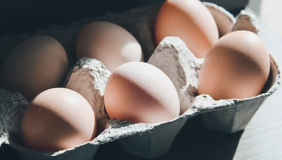 can you compost boiled egg shells