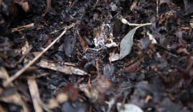 where best to place a compost bin