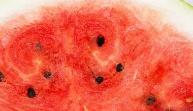 what are the white seeds in watermelon
