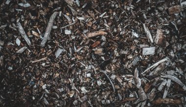 how do you use mulch in gardening