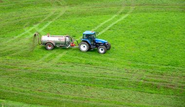 does fertilizer make a plant grow taller