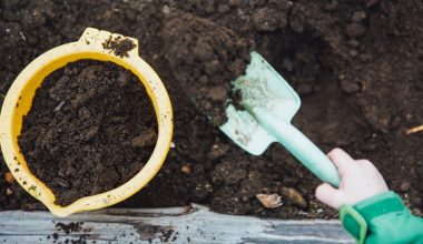 how to make a compost tea for your garden