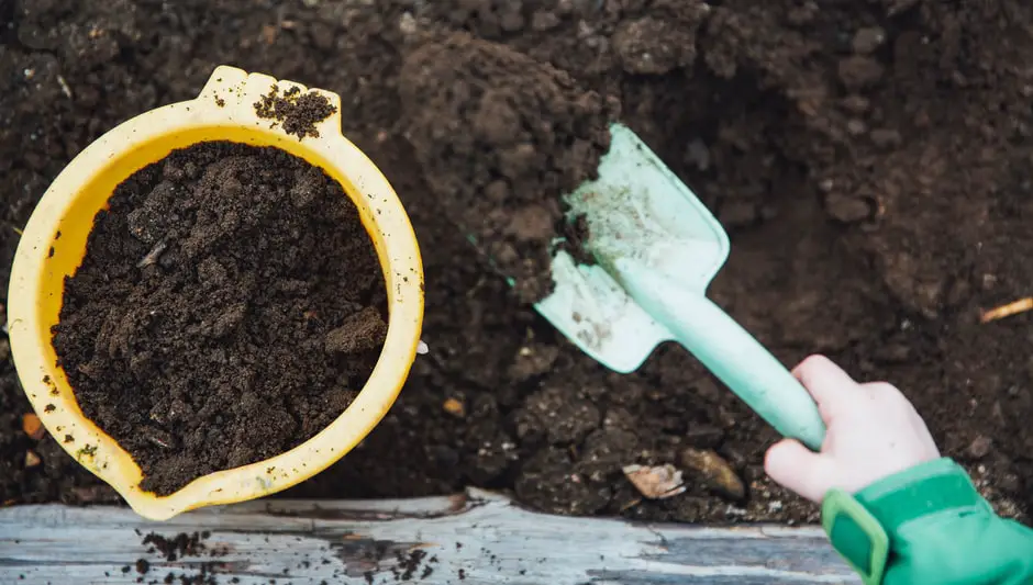 how to make a compost tea for your garden