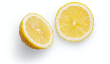 how to grow a lemon tree