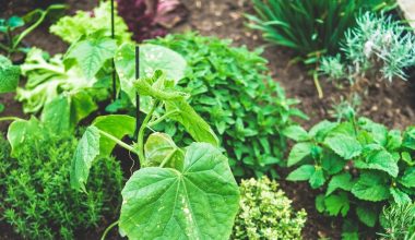 how much soil do i need raised bed