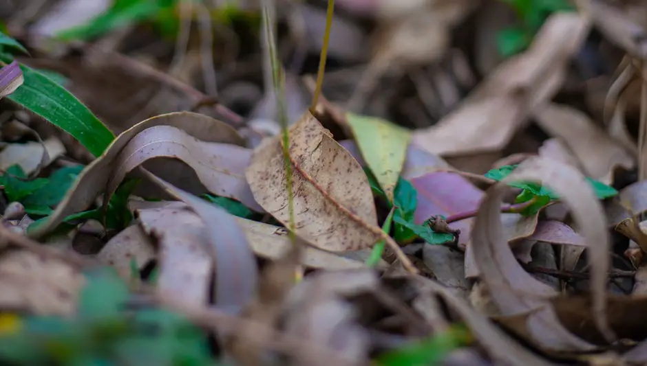 is twine compostable