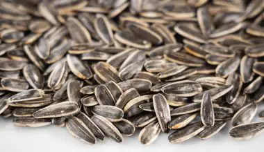 are roasted salted sunflower seeds good for you