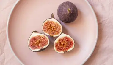 what time of year do you harvest figs