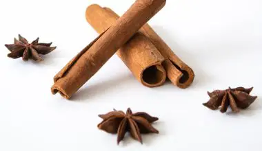 how to grow cinnamon indoors