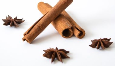 how to grow cinnamon indoors