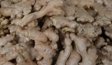how to grow ginger in pots