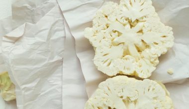 when to plant savoy cabbage seeds