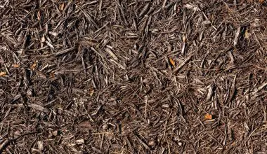 which mulch is best to prevent bugs
