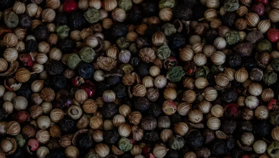 how to dry flower seeds