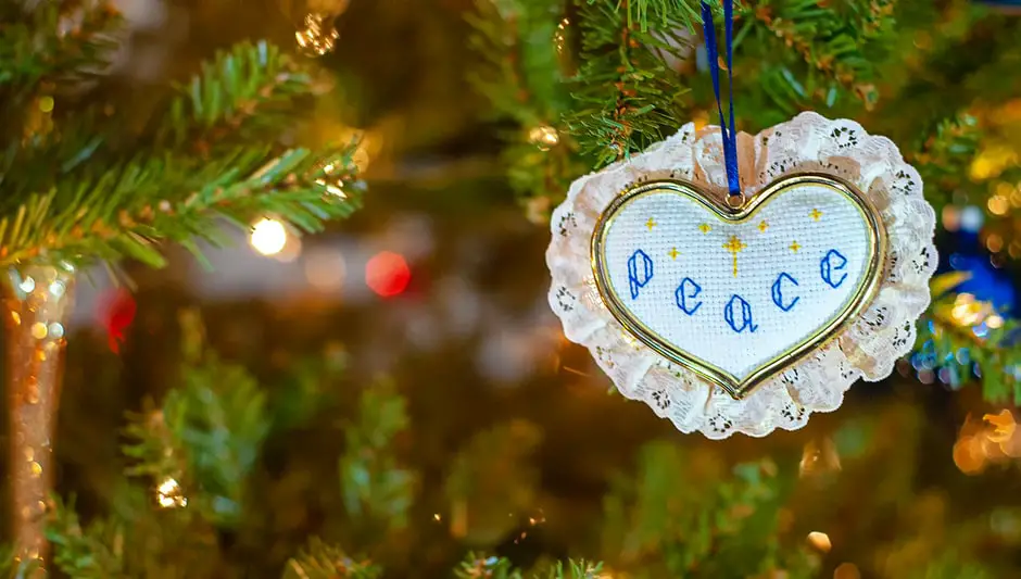 How Fast Do Douglas Fir Trees Grow? (Helpful Examples)