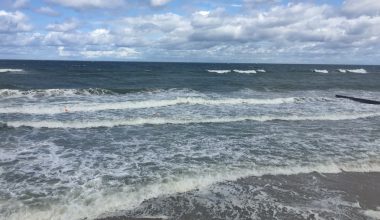 how does ph affect aquatic plants
