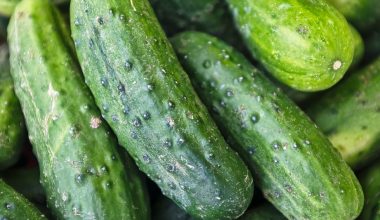 how to tell if cucumber is pollinated