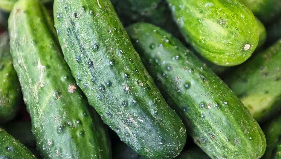 how to tell if cucumber is pollinated