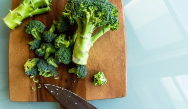 how to grow broccoli in a pot