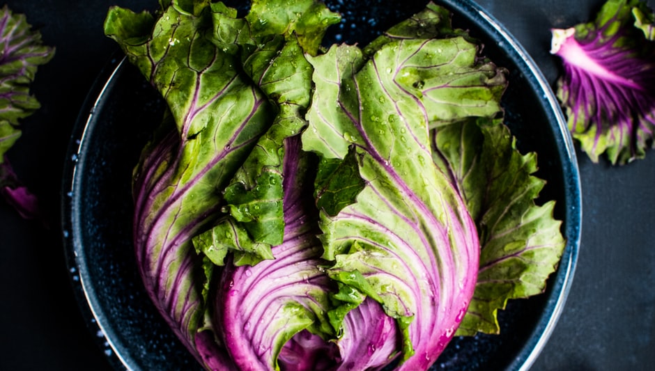 how to harvest romaine lettuce so it keeps growing