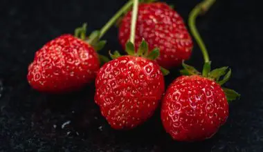 is it safe to eat strawberry seeds