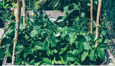 how to make a raised bed for a garden