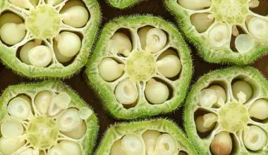 can you eat raw okra seeds