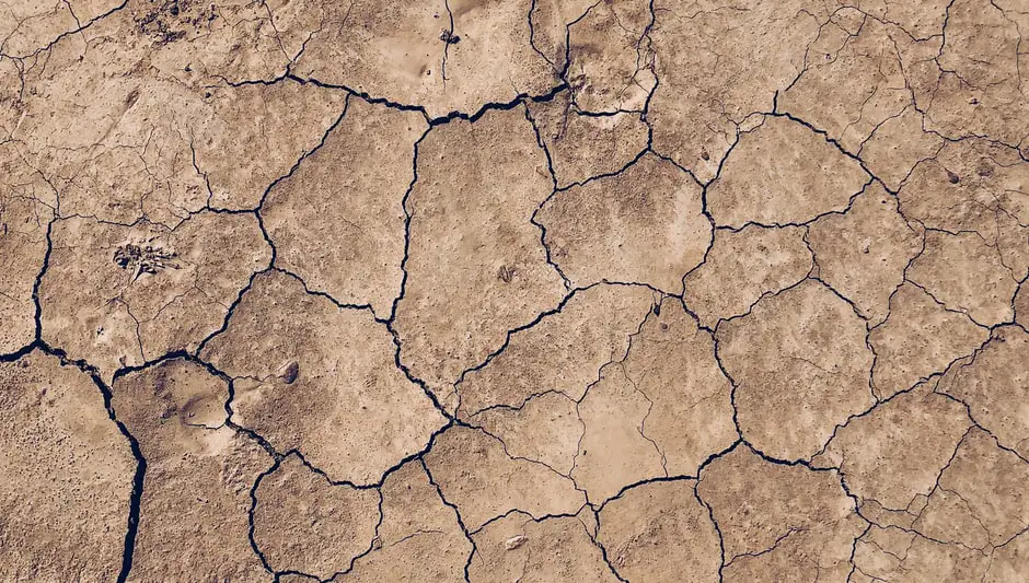 How To Mix Compost Into Soil? (Explained for Beginners)