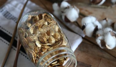 how many carbs are in raw pumpkin seeds