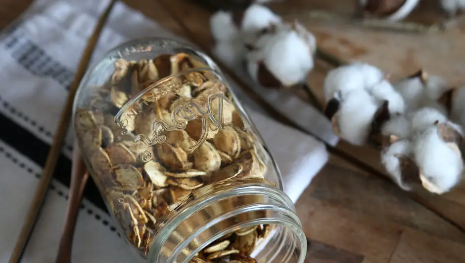 how many carbs are in raw pumpkin seeds