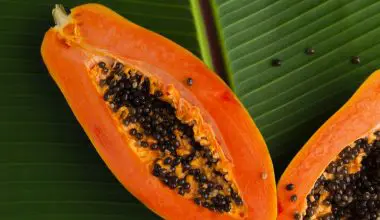 how to use papaya seeds for skin