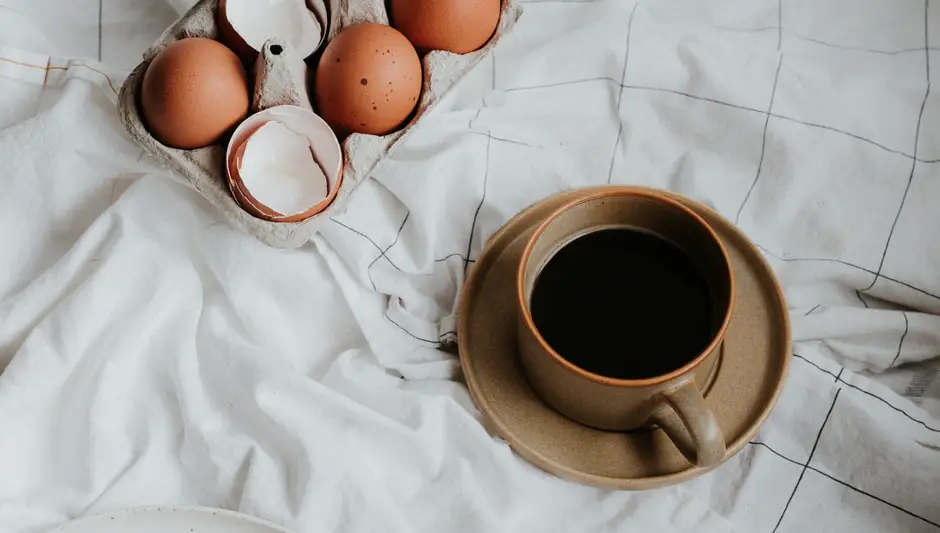 are-eggshells-good-for-houseplants-complete-explanation