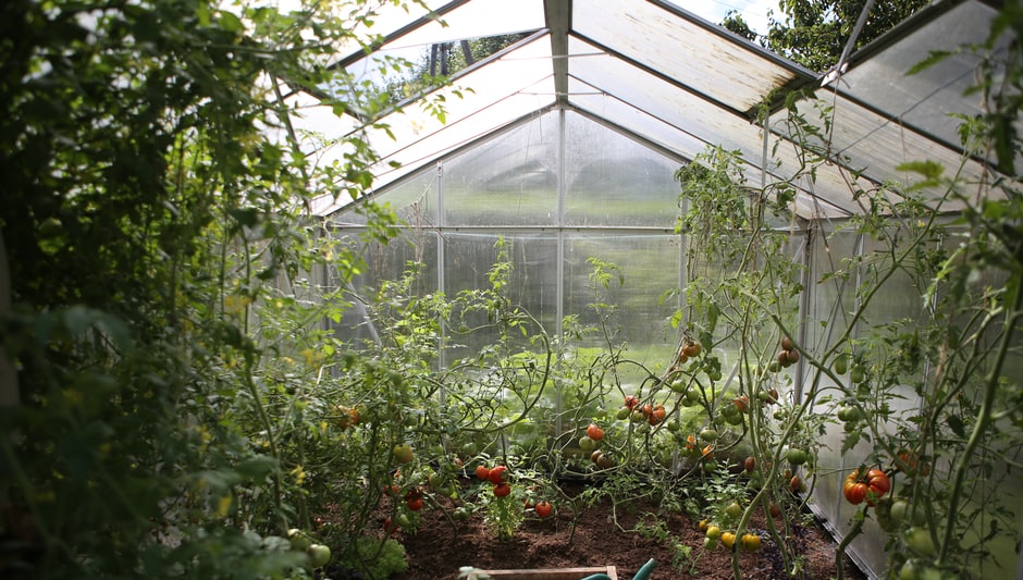 how to heat a greenhouse with wood