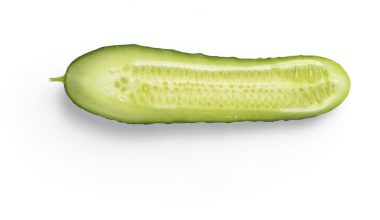 when to harvest pickling cucumbers