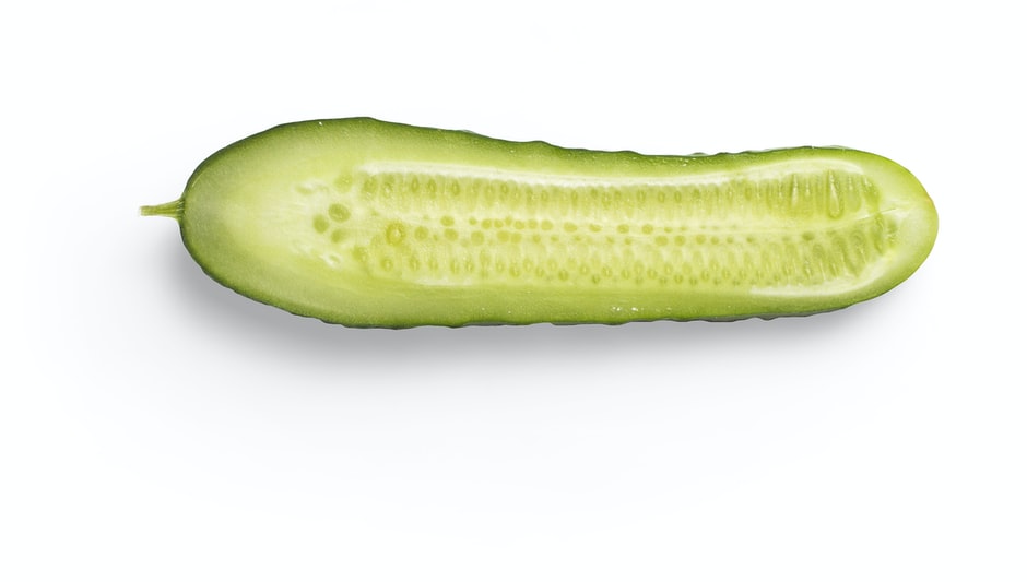 when to harvest pickling cucumbers