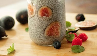 can you eat too much chia seeds