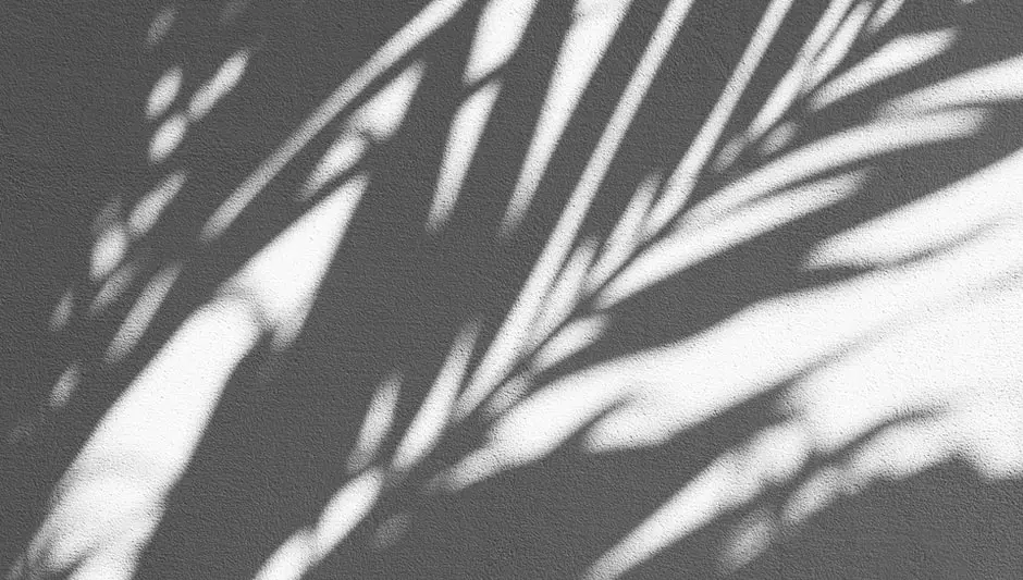 a palm tree