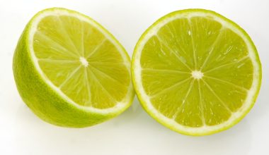 is lime good for lawns