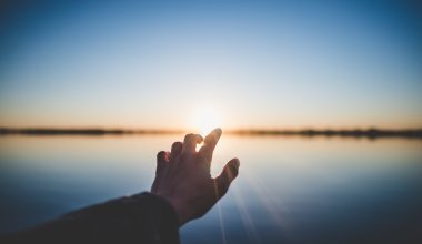 what does the seed represent in matthew 13