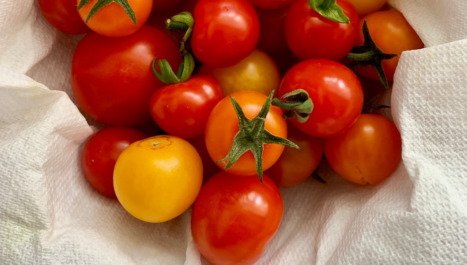 how to grow cherry tomato seeds
