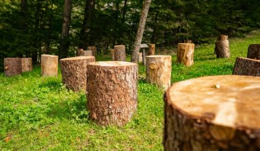 how to remove a tree stump without a grinder