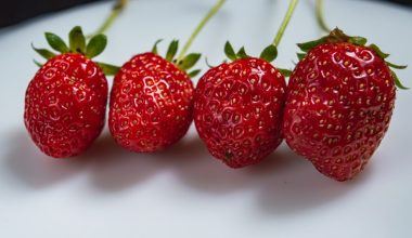 what do strawberry plant leaves look like