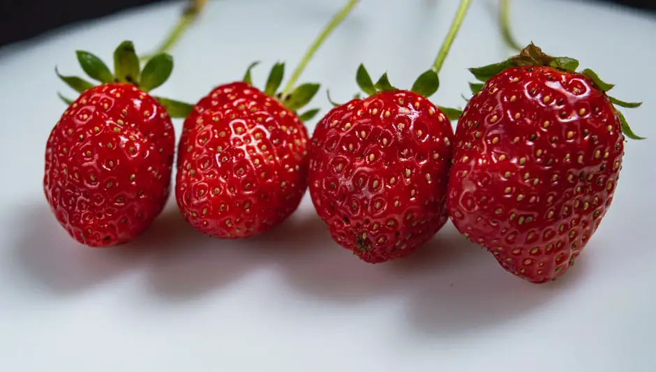 what do strawberry plant leaves look like